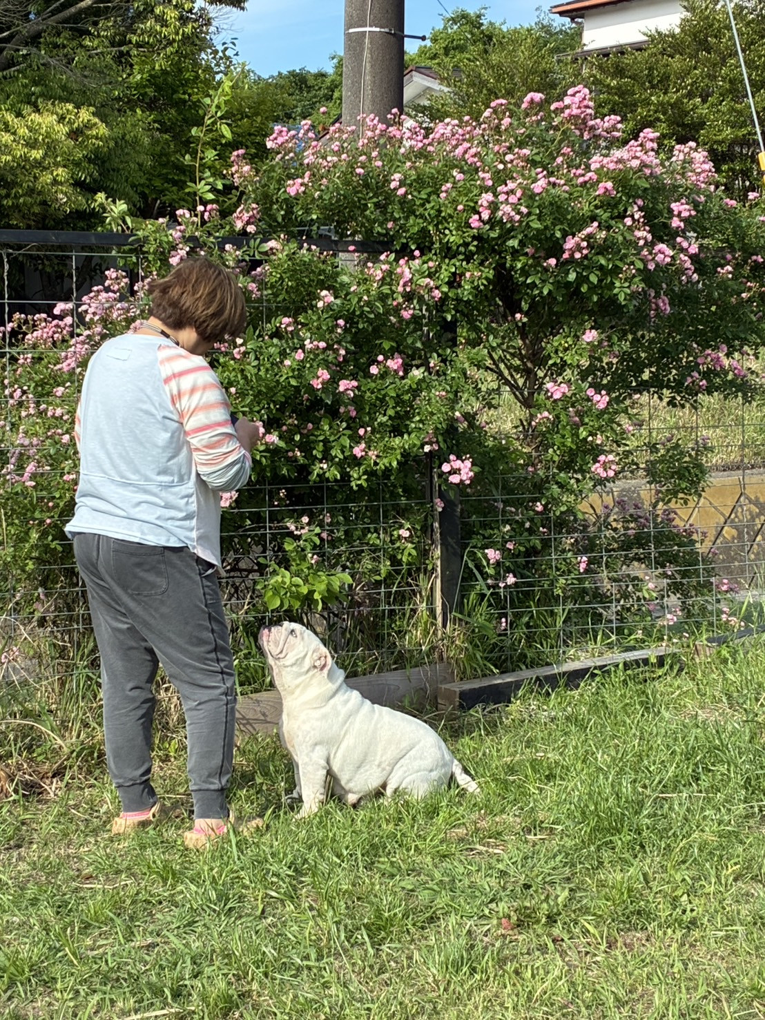 IMG_6013.jpeg