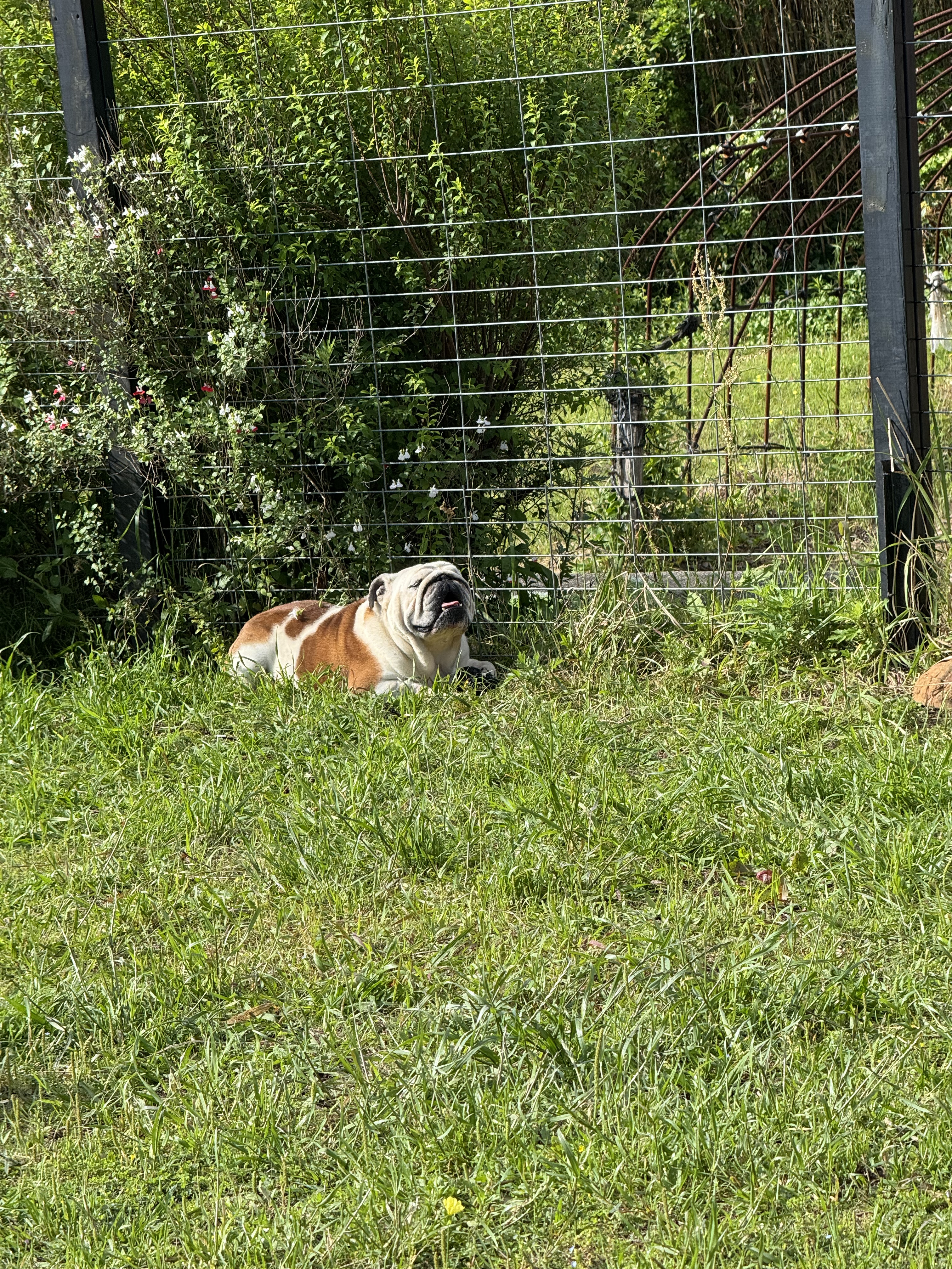 IMG_6044.jpeg