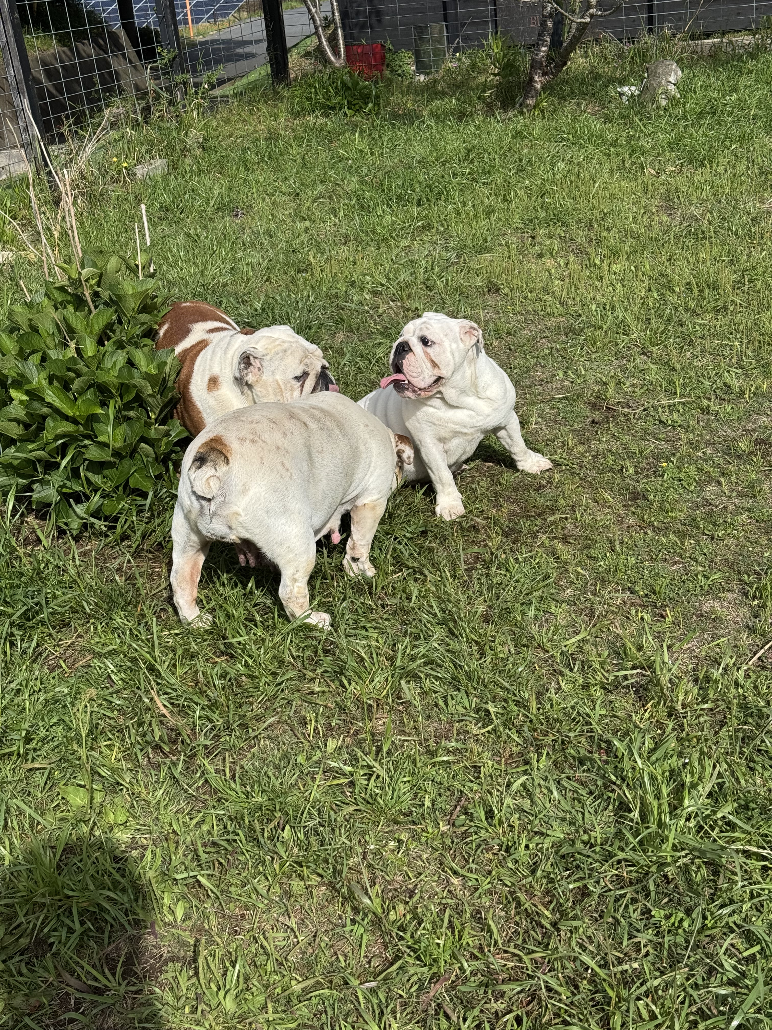 IMG_6053.jpeg
