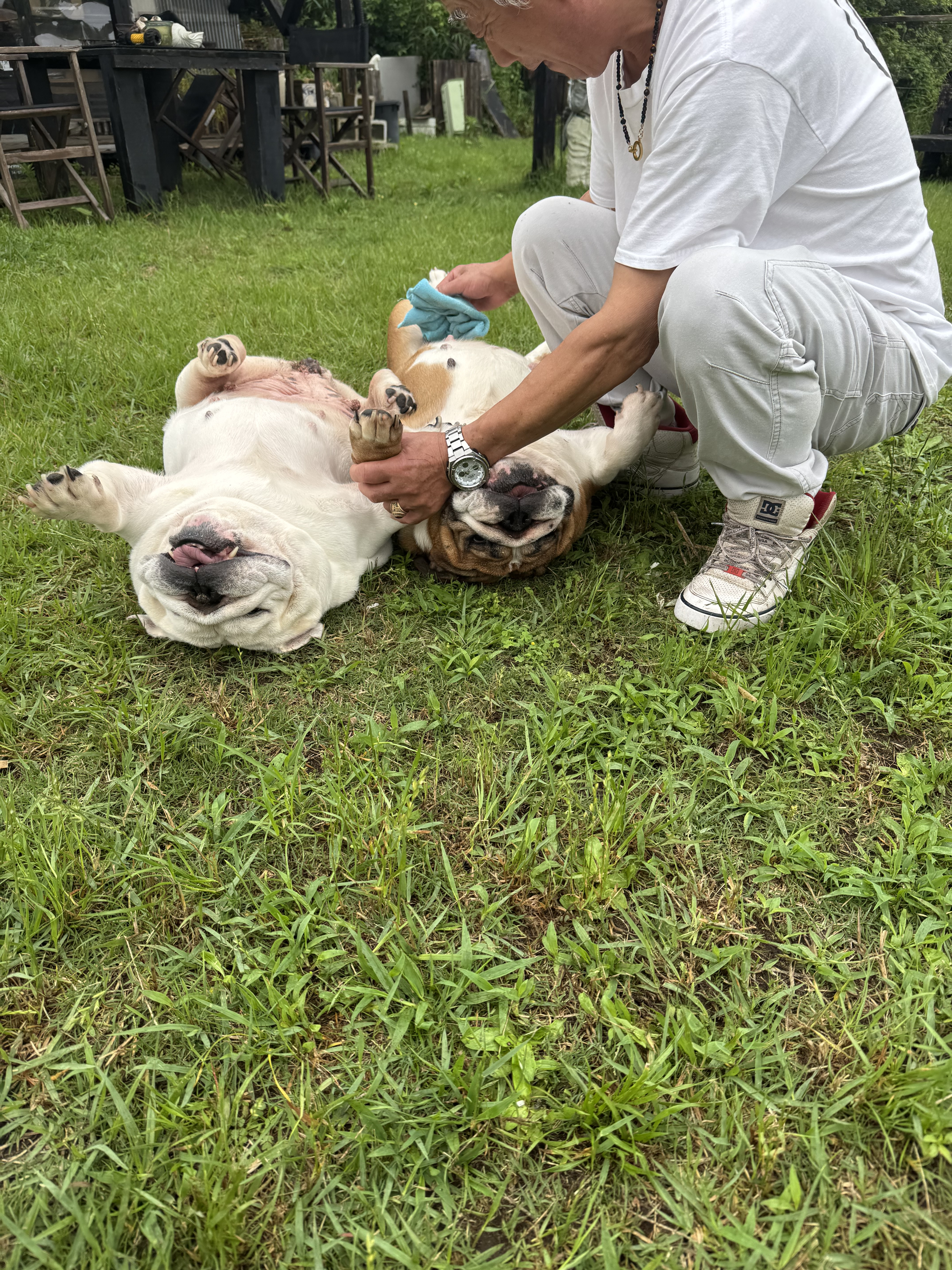IMG_6264.jpeg