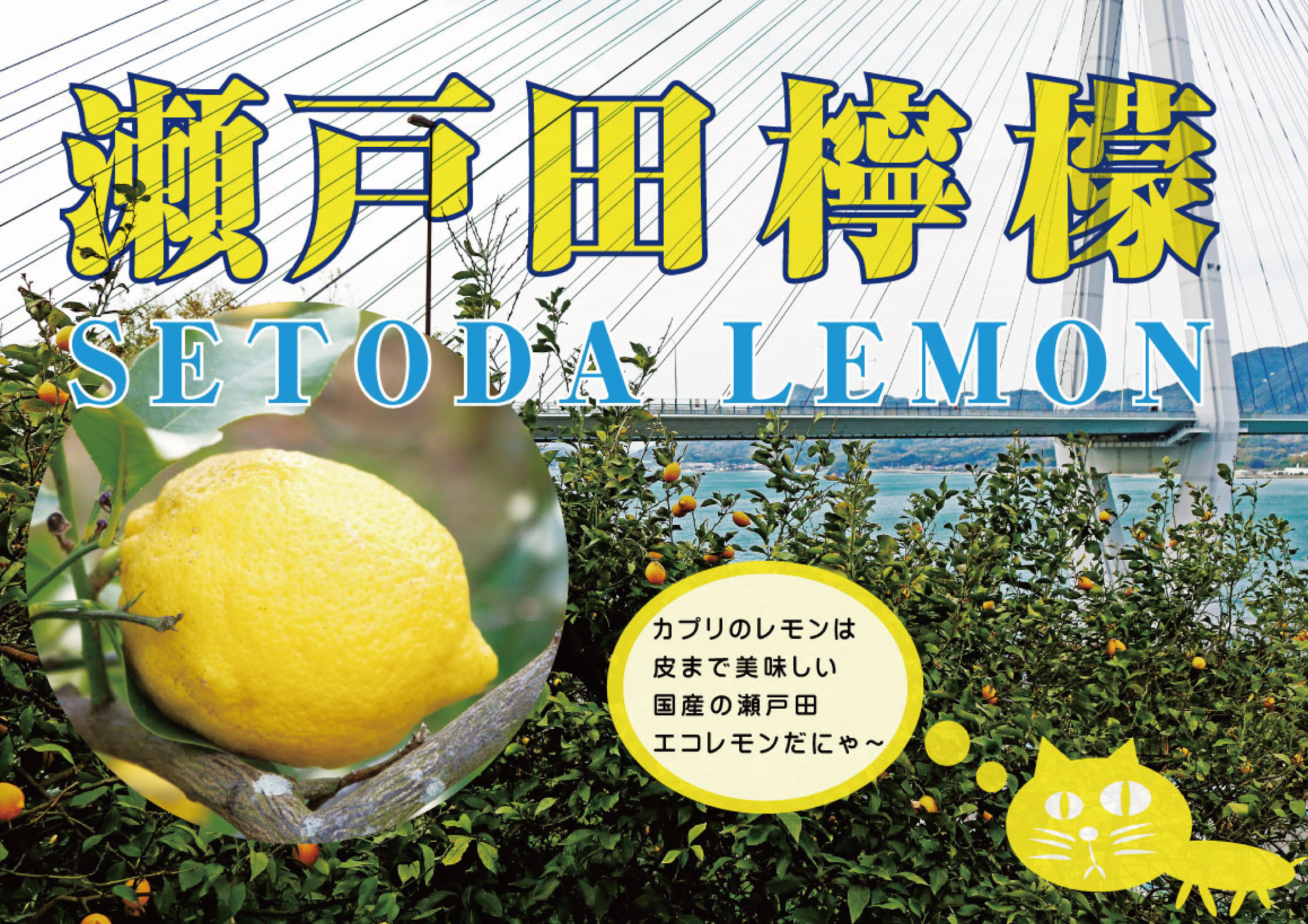 カプリ食堂 京都のレモン料理専門店