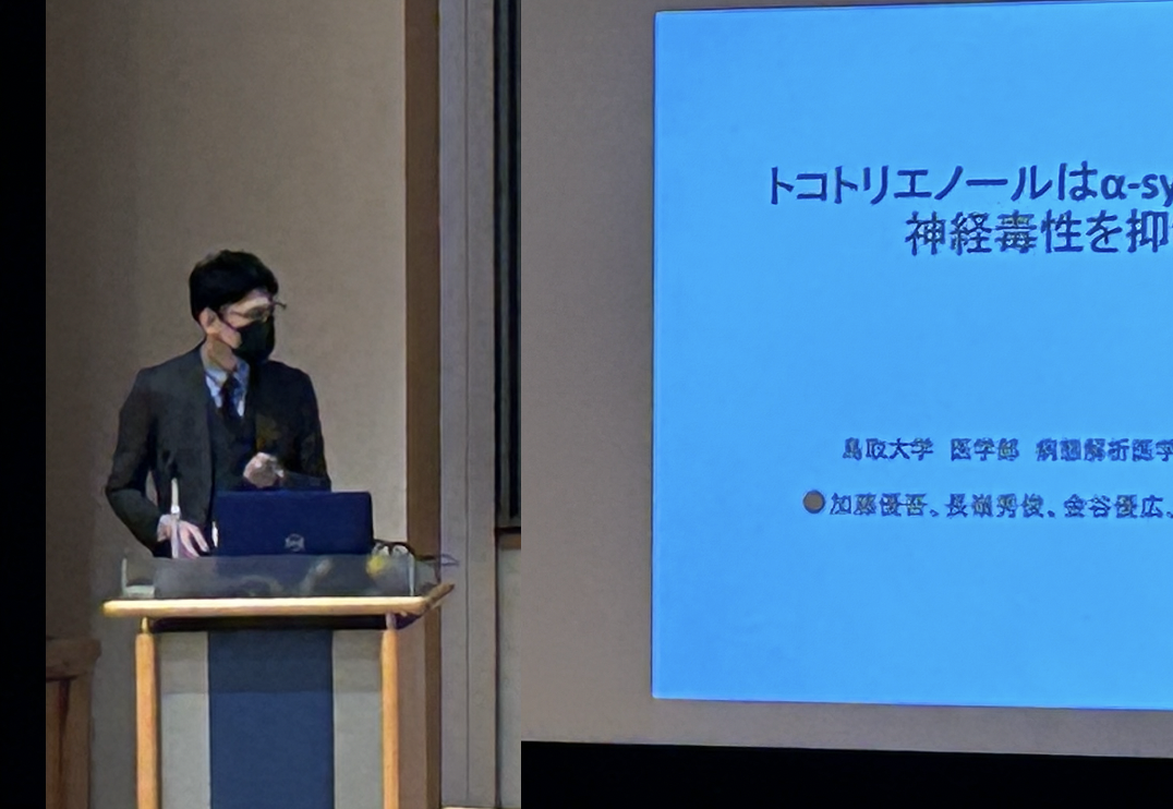 第33回ビタミンE研究会で加藤優吾助教が研究発表しました