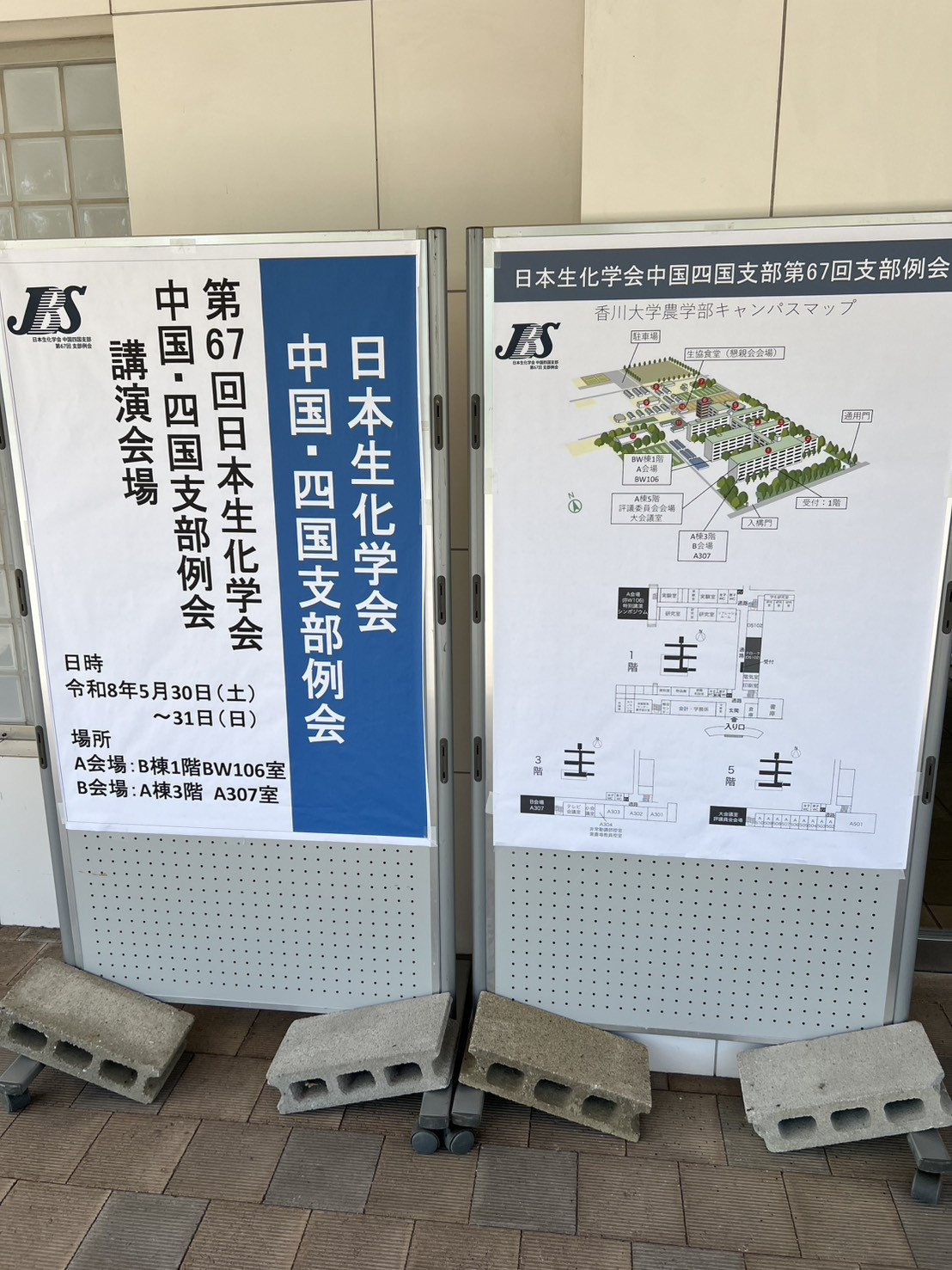 S__10838033_0.jpg