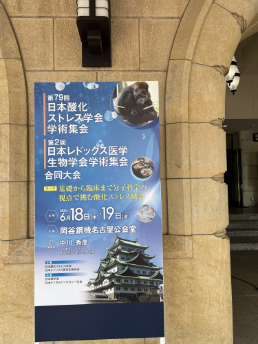 IMG_3914.jpeg