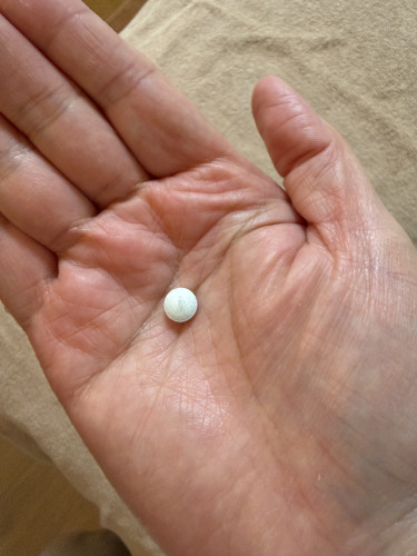 満席になりました。