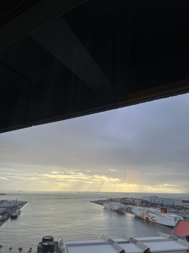 IMG_7999.jpeg