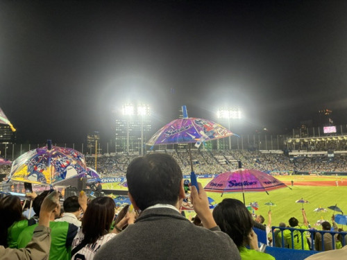 IMG_3469.jpeg