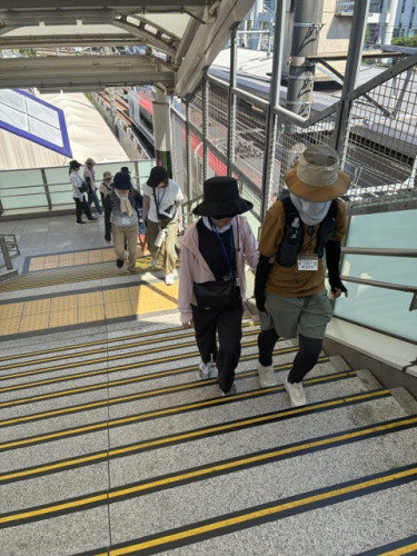 IMG_3818.jpeg