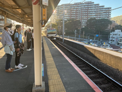 IMG_2221.jpeg