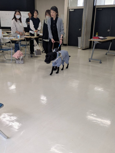 椅子への誘導.jpg