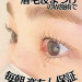 IMG_3651.jpeg