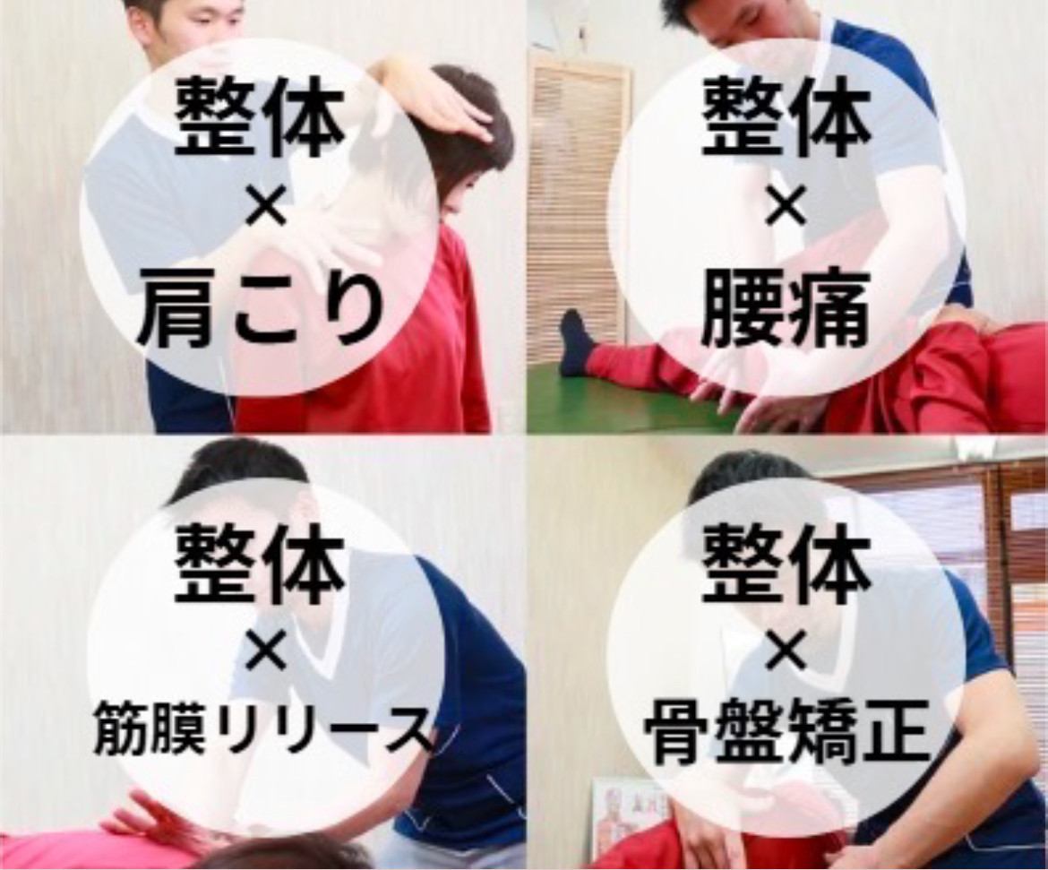 腰痛/肩･首こり/膝痛、股関節痛、自律神経