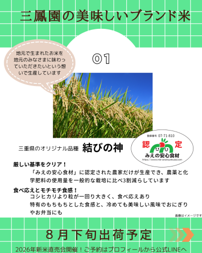 ②結びの神紹介.png