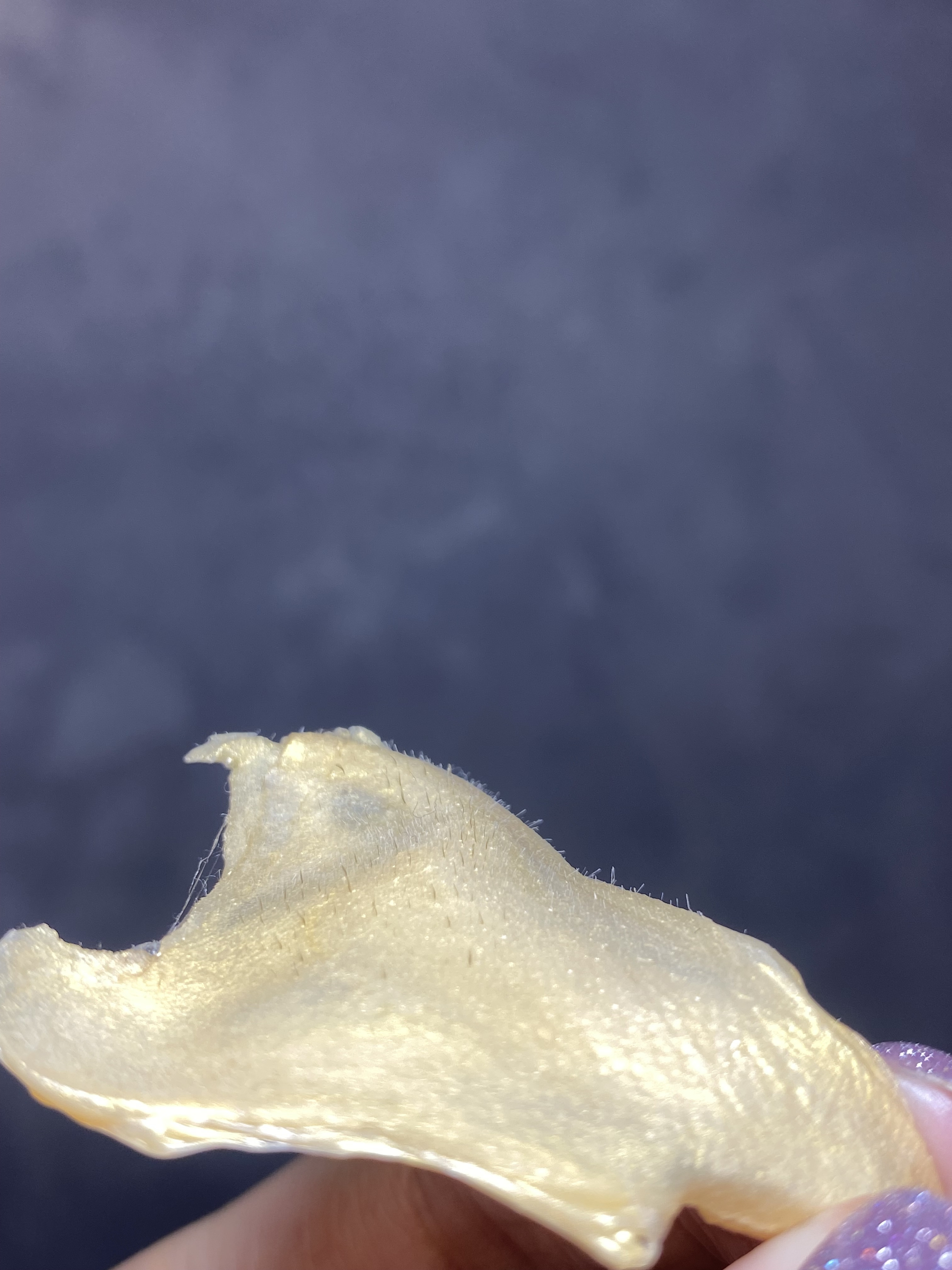 鼻の毛穴におすすめセット☆