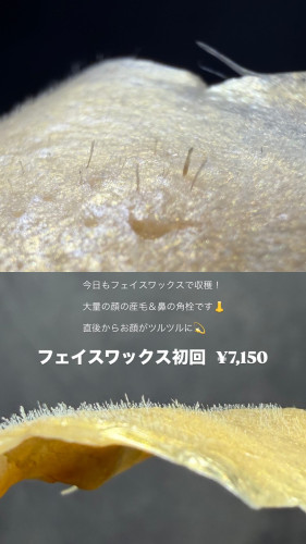 フェイスワックス