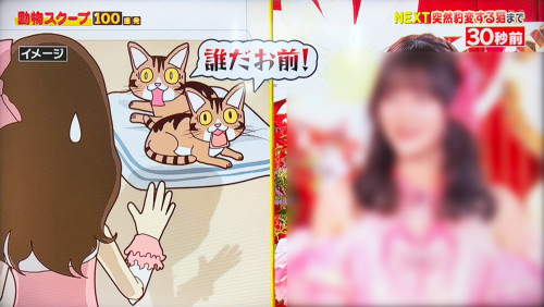 0724動物02.jpg
