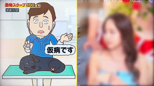 0724動物03.jpg
