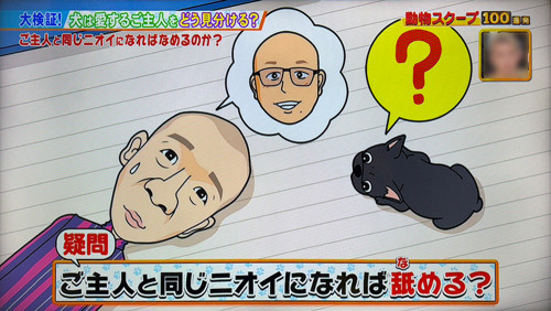 0527動物02.jpg