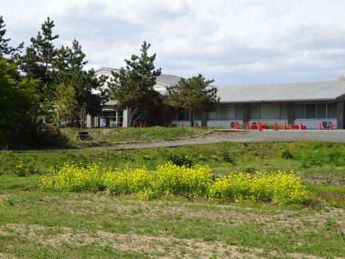 DSC02677.JPG