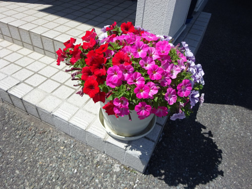 DSC03200.JPG