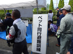 DSC04049.JPG