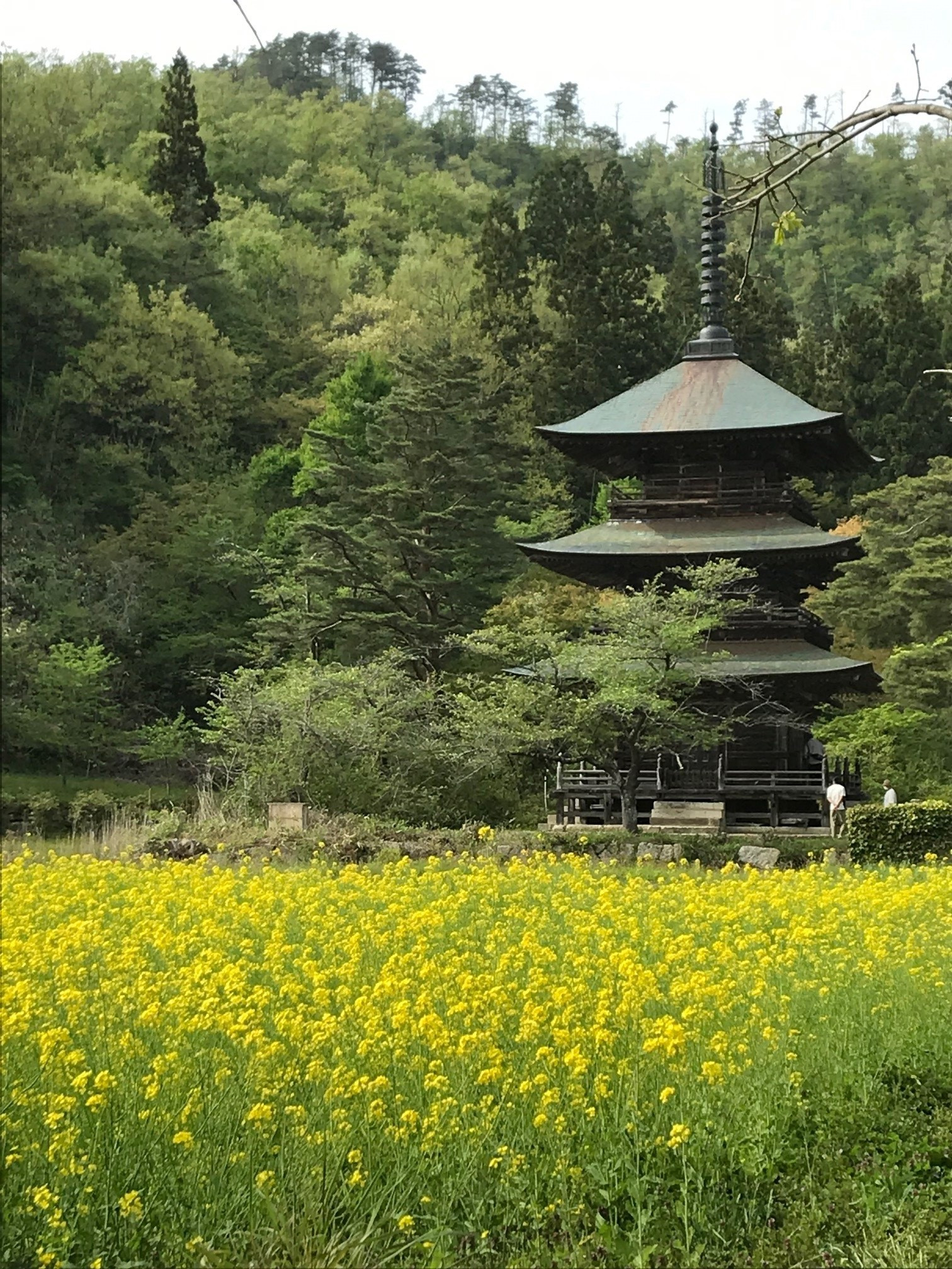 安久津八幡神社