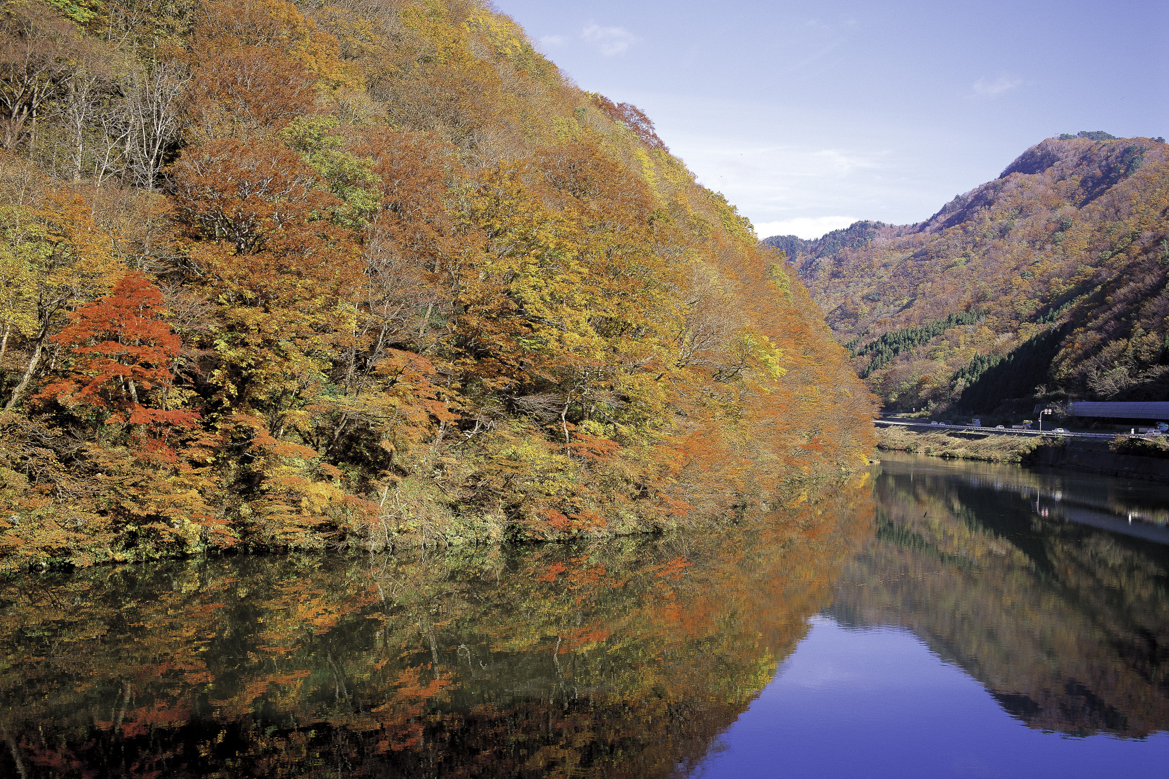 最上川の紅葉