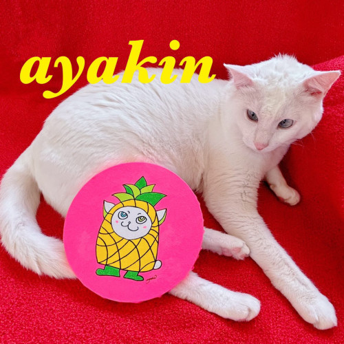 ～ CPC SUNDAY MARKET 出店者 『Freedom artist ayakin☆』 さんのご紹介 ～