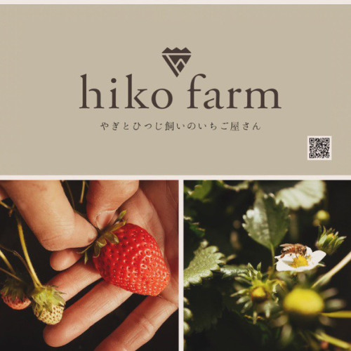  ～ CPC SUNDAY MARKET 出店者 『hiko farm』 さんのご紹介 ～