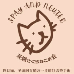 ⭐︎あやや⭐︎のびねこ山梨⑧大阪②水戸② ⭐︎あやや様専用⭐︎のびねこ山梨⑧大阪②水戸② - メルカリ