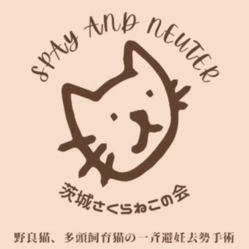 ～ CPC SUNDAY MARKET 出店者 『茨城さくらねこの会』 さんのご紹介 ～