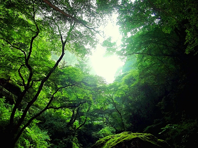 人間も自然界の一部です