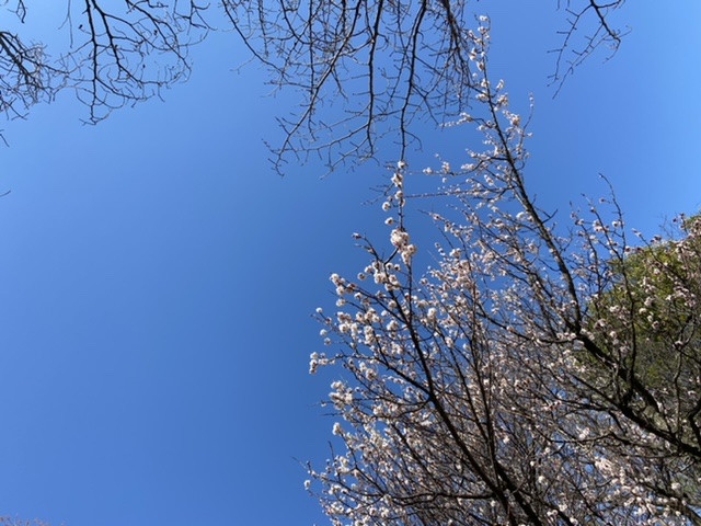 ３月はお誕生日デイです。