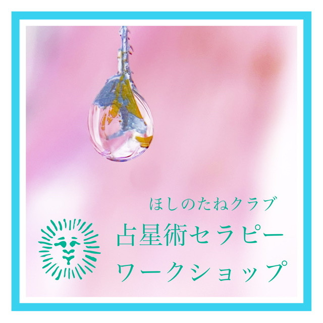 13時ほしのたねクラブ