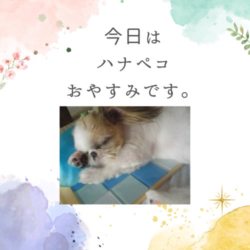 IMG_7585.png
