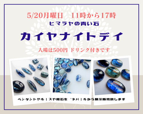 5/20 カイヤナイトデイ