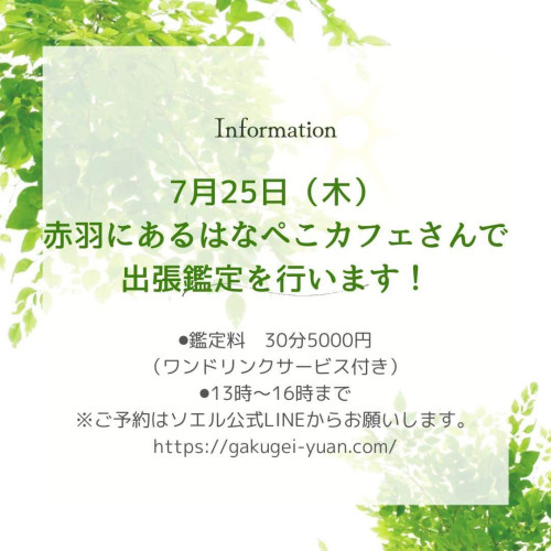 IMG_9272.jpeg