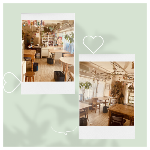 🌿&nbsp;hanapeko レンタルスペースのご案内