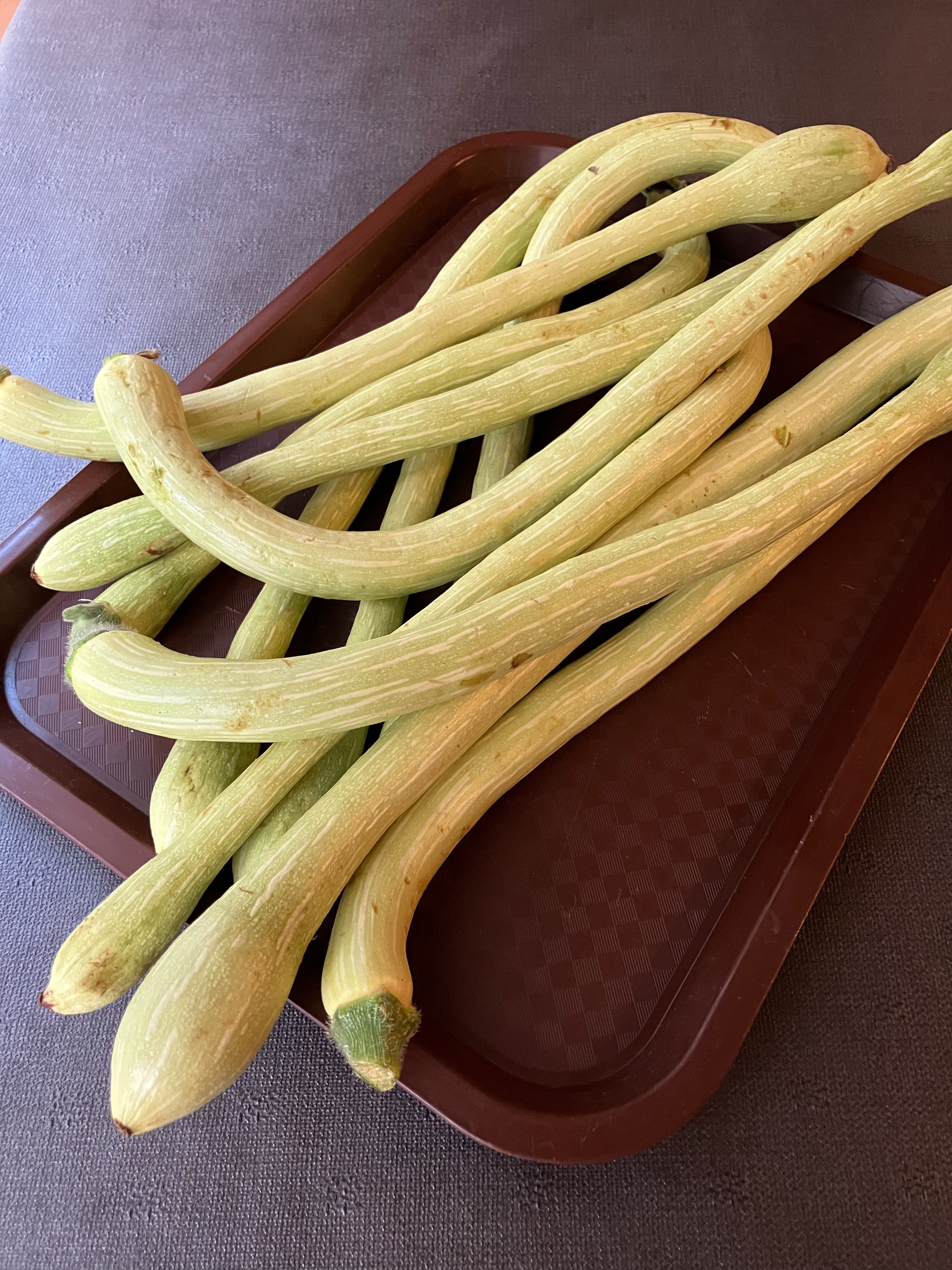 ズッキーネ・トロンベッタ