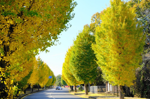 DSCF3537 (1)補正×15%.jpg