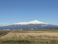 IMG_7386.jpeg