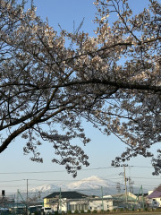IMG_7851.jpeg