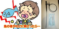 新ファイバー.jpg