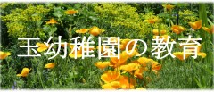 幼稚園の教育