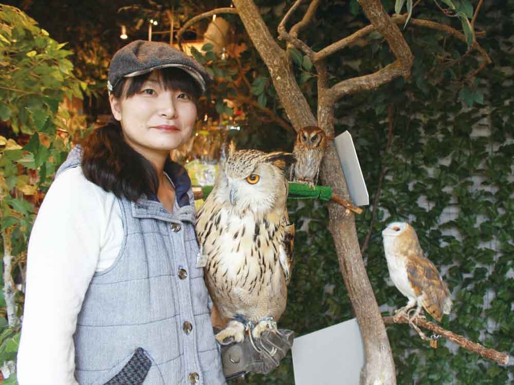 Ngantuoisoneo5 50 フクロウカフェ 鎌倉