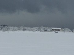 RSCN6250.JPG
