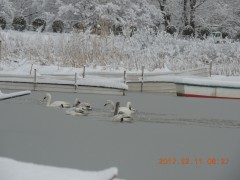 DSCN6237.JPG
