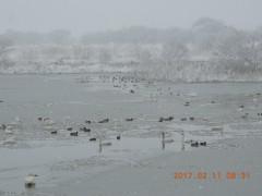 DSCN6241.JPG