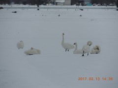 DSCN6263.JPG