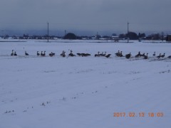 DSCN6296.JPG